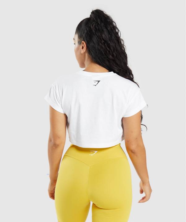 Damske Crop Top Gymshark Fraction Biele | DC4537690